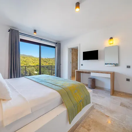 Lizya Villa *